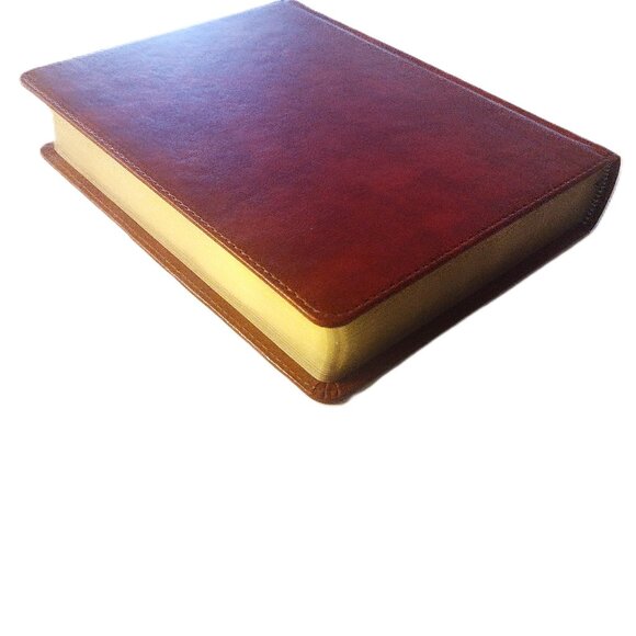 Illustrator's Notetaking (Coloring) Bible (HCSB) British Tan Leather Touch ~ NEW - Picture 7 of 13